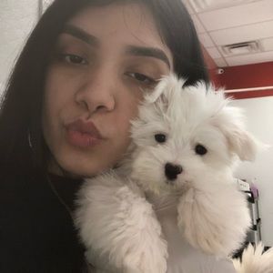 Meet your Posher, Yesenia